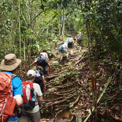 Groepsrondreis West-Maleisië & Borneo: wandelaars met rugzakken op junglepad door tropisch regenwoud.