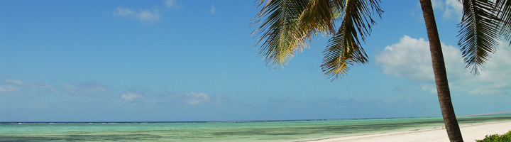 Palmbomen aan wit zandstrand met turquoise zee op Zanzibar.