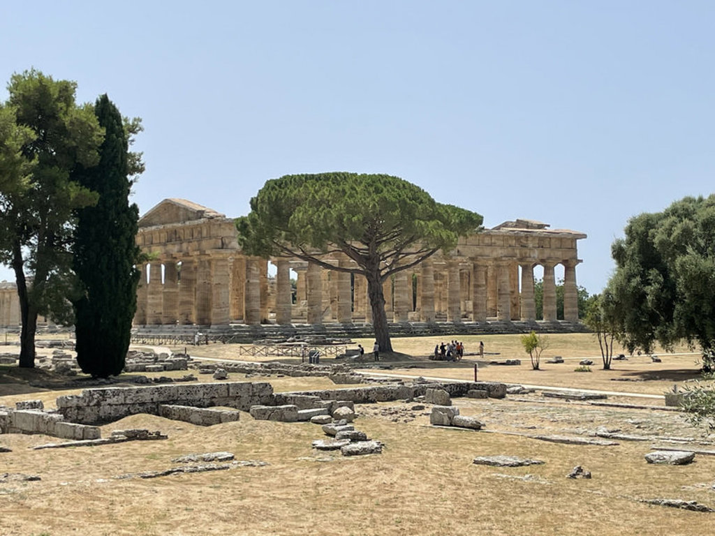 Griekse tempel in Paestum, Cilento, met grote pijnboom op de voorgrond.