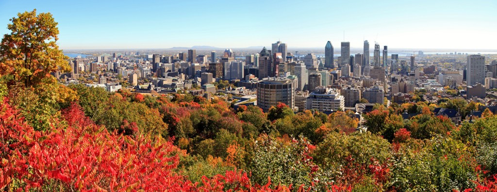 Panorama op de skyline van Montréal met herfstkleuren op Mount Royal, tijdens een rondreis Canada hotelreis.