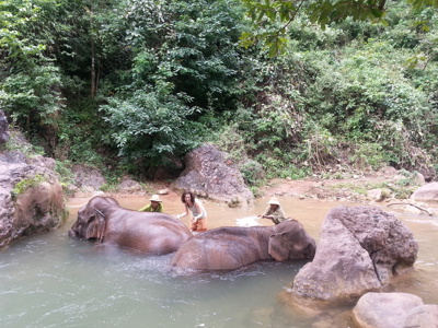 Olifantenbad in een rivier tijdens de Route Birma/Myanmar reis van 20 dagen.