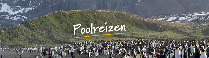 Grote kolonie pinguïns op een strand met groene heuvels en bergen op de achtergrond, met tekst “Poolreizen”.