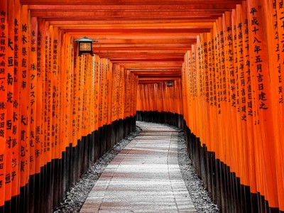 Rode torii-poorten vormen een tunnelpad bij Fushimi Inari-taisha in Kyoto, Japan.