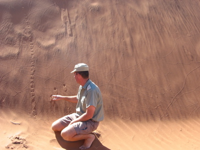 Gids wijst sporen in het zand aan bij een hoge rode zandduin in Namibië.