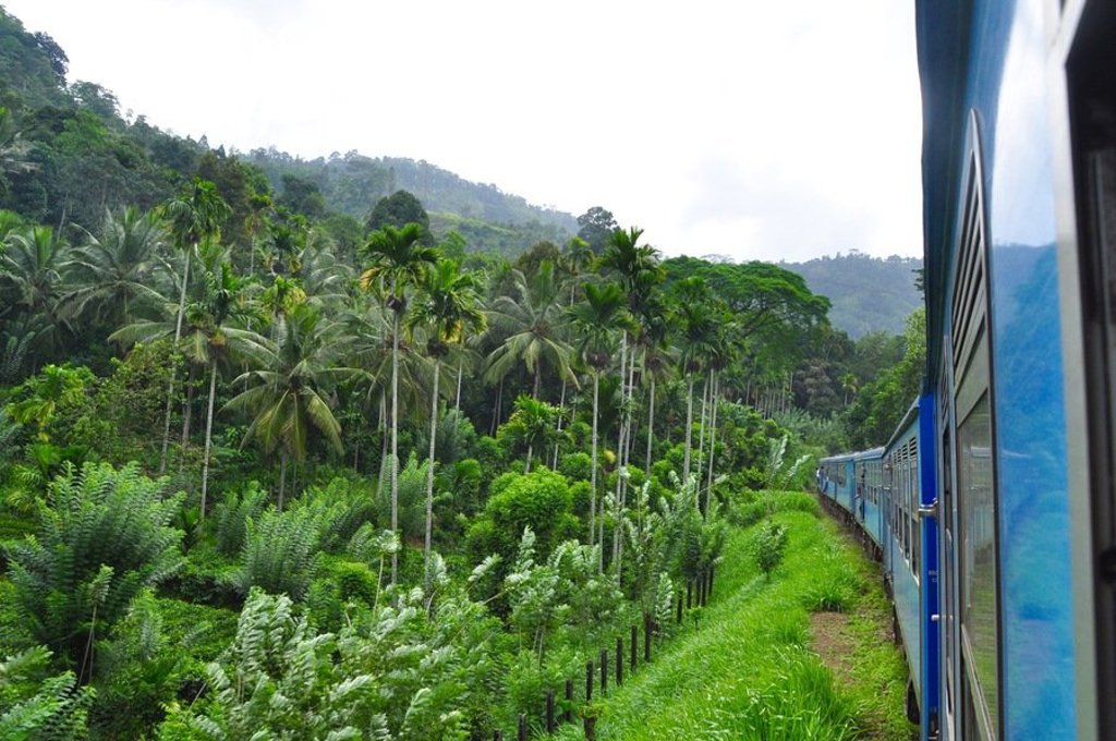 Tropisch strand met palmbomen tijdens groepsrondreis Sri Lanka en Malediven.