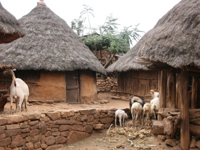 Traditionele ronde hutten met rieten daken en geiten in een dorp in Ethiopië.