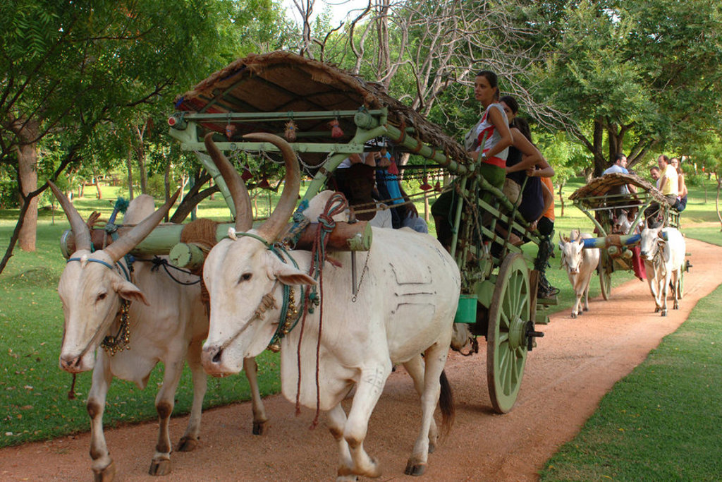 Ossenkar met reizigers op een landweg in Sri Lanka tijdens een groepsrondreis.