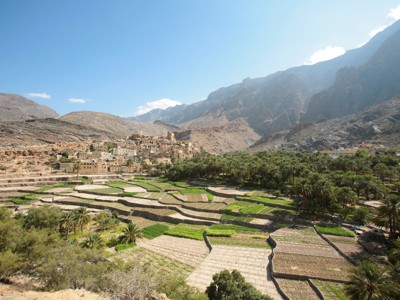 Terrasvormige akkers en dadelpalmenoase met bergdorp in Oman tijdens de route Oman en Dubai, 11 dagen.
