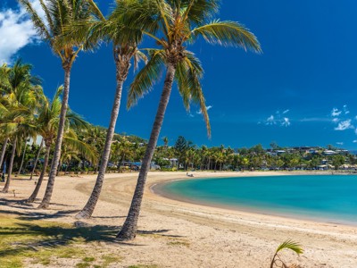 Palmbomen langs een tropisch strand met turquoise zee in Australië.