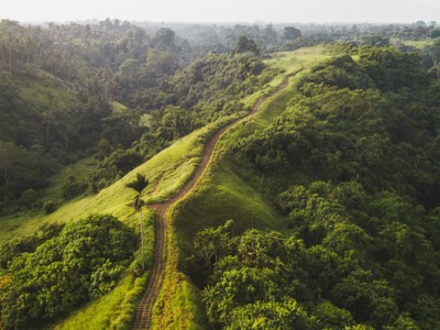 Groene heuvels met kronkelend pad door de jungle op Bali tijdens de 18-daagse route.