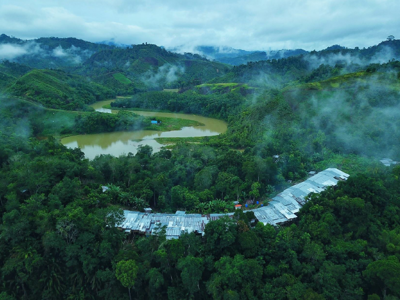 Groene heuvels met meanderende rivier en mist boven het regenwoud in West-Maleisië en Borneo.