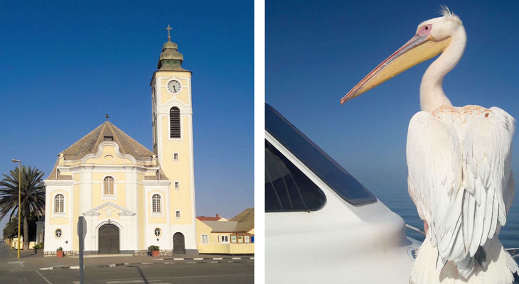 Swakopmund, Namibië Gele kerk met klokkentoren op een plein, naast een witte pelikaan bij de haven.