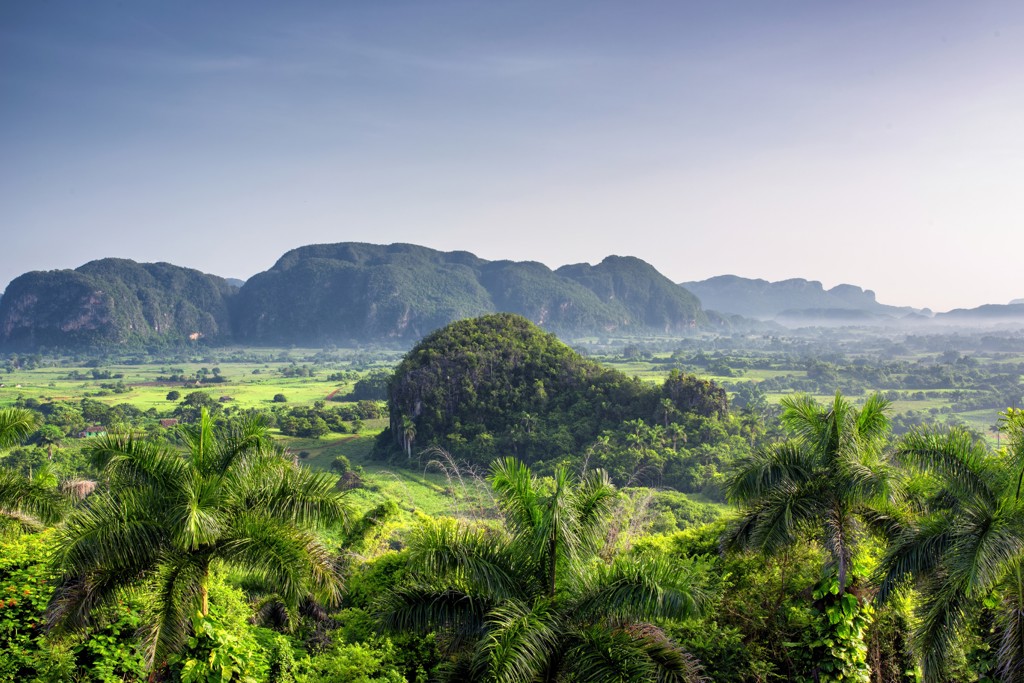 Groene vallei met palmbomen en kalkstenen mogotes in Viñales, Cuba.