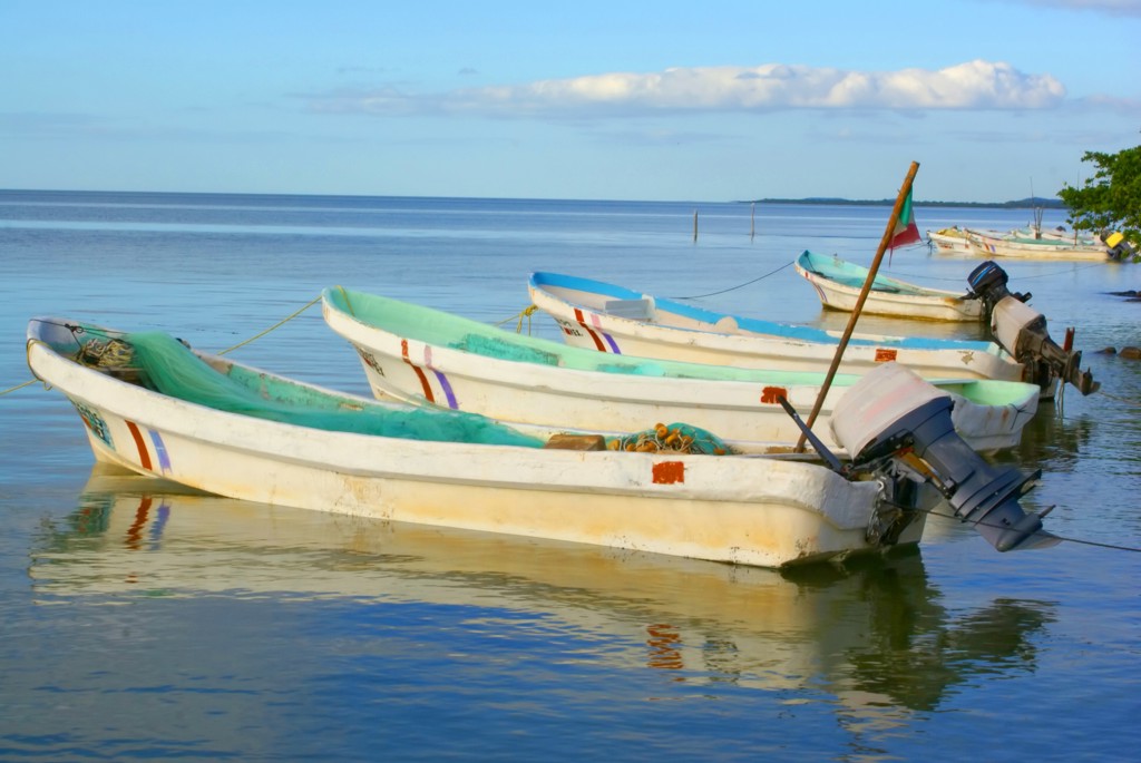 Vissersbootjes in helderblauw water aan de kust van Mexico tijdens de groepsrondreis Mexico Chill & Adventure.