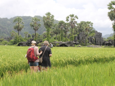 Wandelaars in een rijstveld met palmbomen en karstrotsen op Sulawesi tijdens de rondreis Kalimantan, Sulawesi & Molukken.