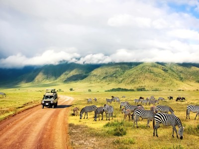 Safari-jeep op de route door de Ngorongoro-krater, met grazende zebra’s op de savanne.