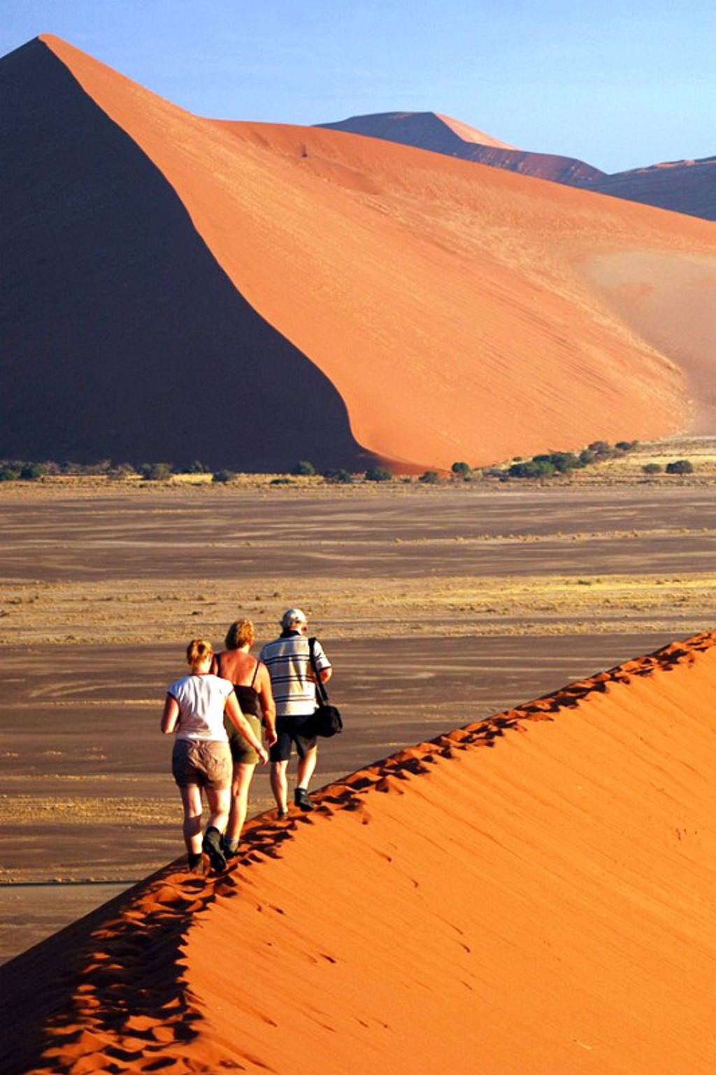 Reizigers wandelen over een zandduin in de Namib-woestijn tijdens een groepsrondreis Zuidelijk Afrika.