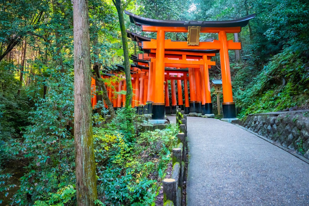 Rode torii-poorten langs een bospad bij een Japanse tempel, familiereis Japan.