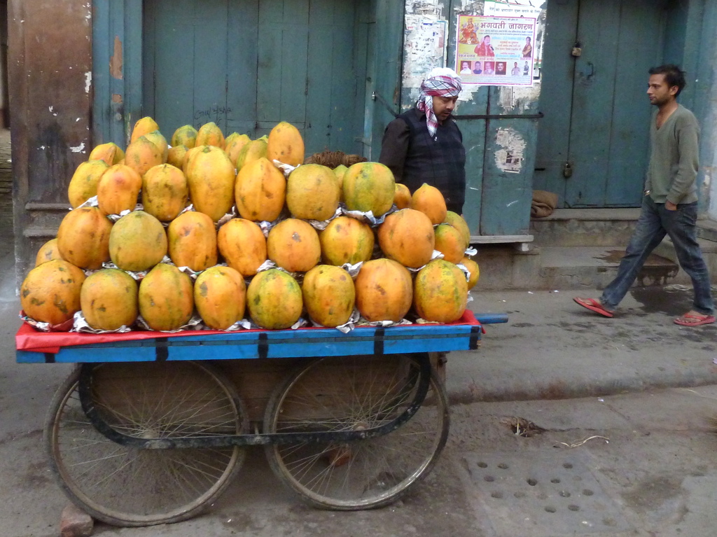 Straatverkoper met handkar vol papaja’s tijdens groepsrondreis Noord-India en Nepal.