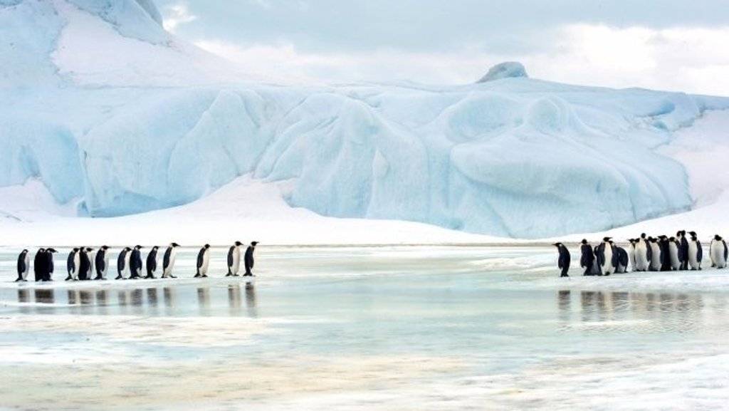 Groepsrondreis Antarctica: Snow Hill eiland.
