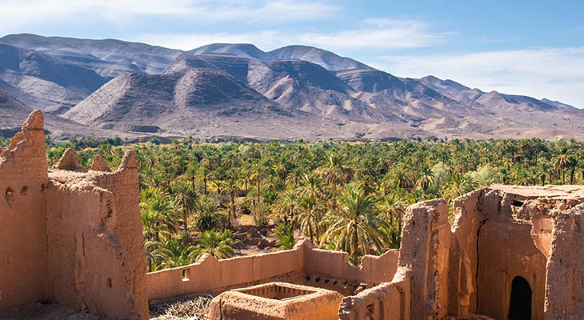 Uitzicht op een Marokkaanse oase met palmbomen en lemen kasbah-ruïnes, met het Atlasgebergte op de achtergrond.