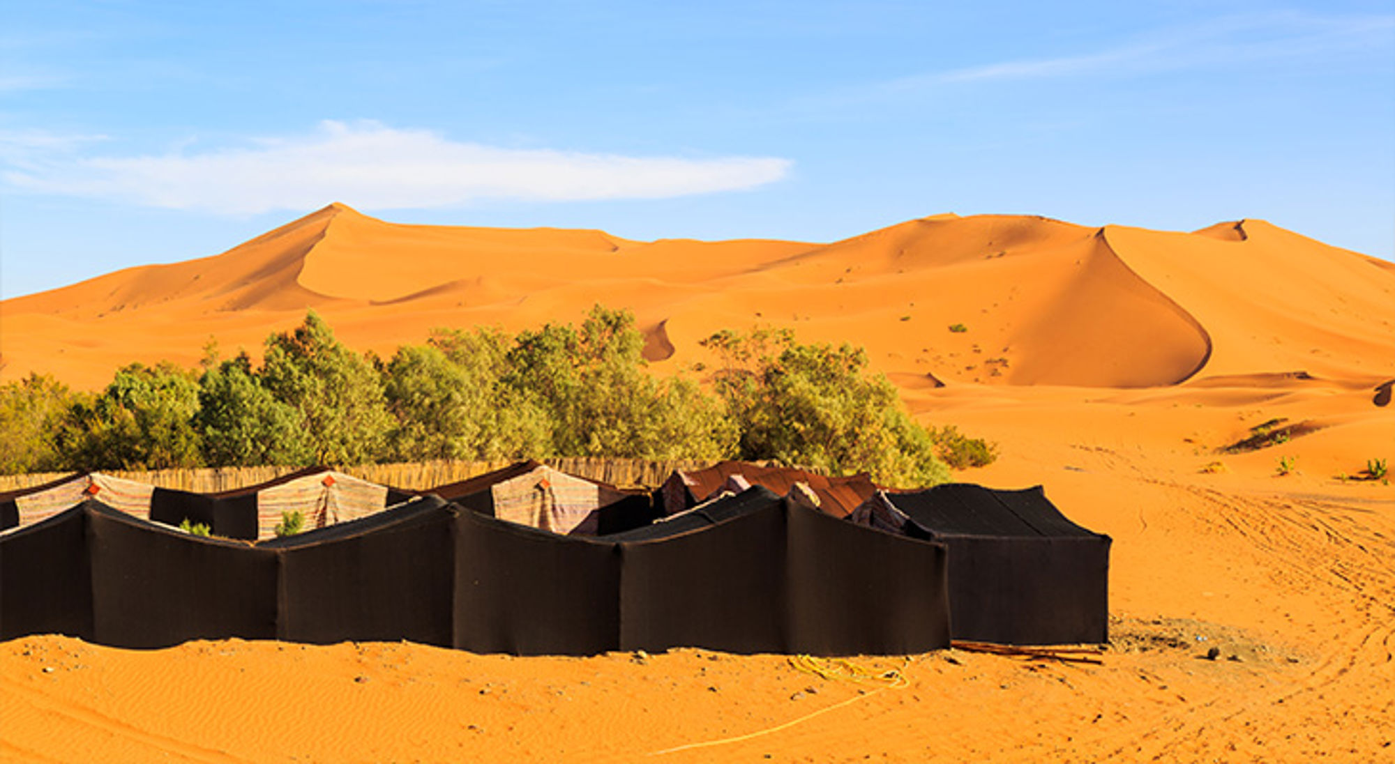 Erg Chebbi Marokko Woestijnkamp met tenten bij groene oase, met hoge zandduinen op de achtergrond.