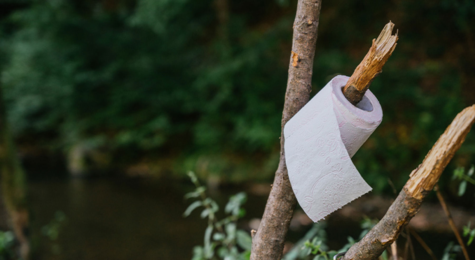 Toiletpapier Rol toiletpapier aan een houten stok in de natuur.