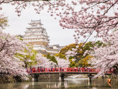 Kasteel van Himeji met kersenbloesem en rode brug in Japan.