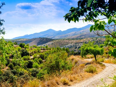 Wandelpad door heuvels met olijfgaarden en uitzicht op de Sierra Nevada bij Granada.
