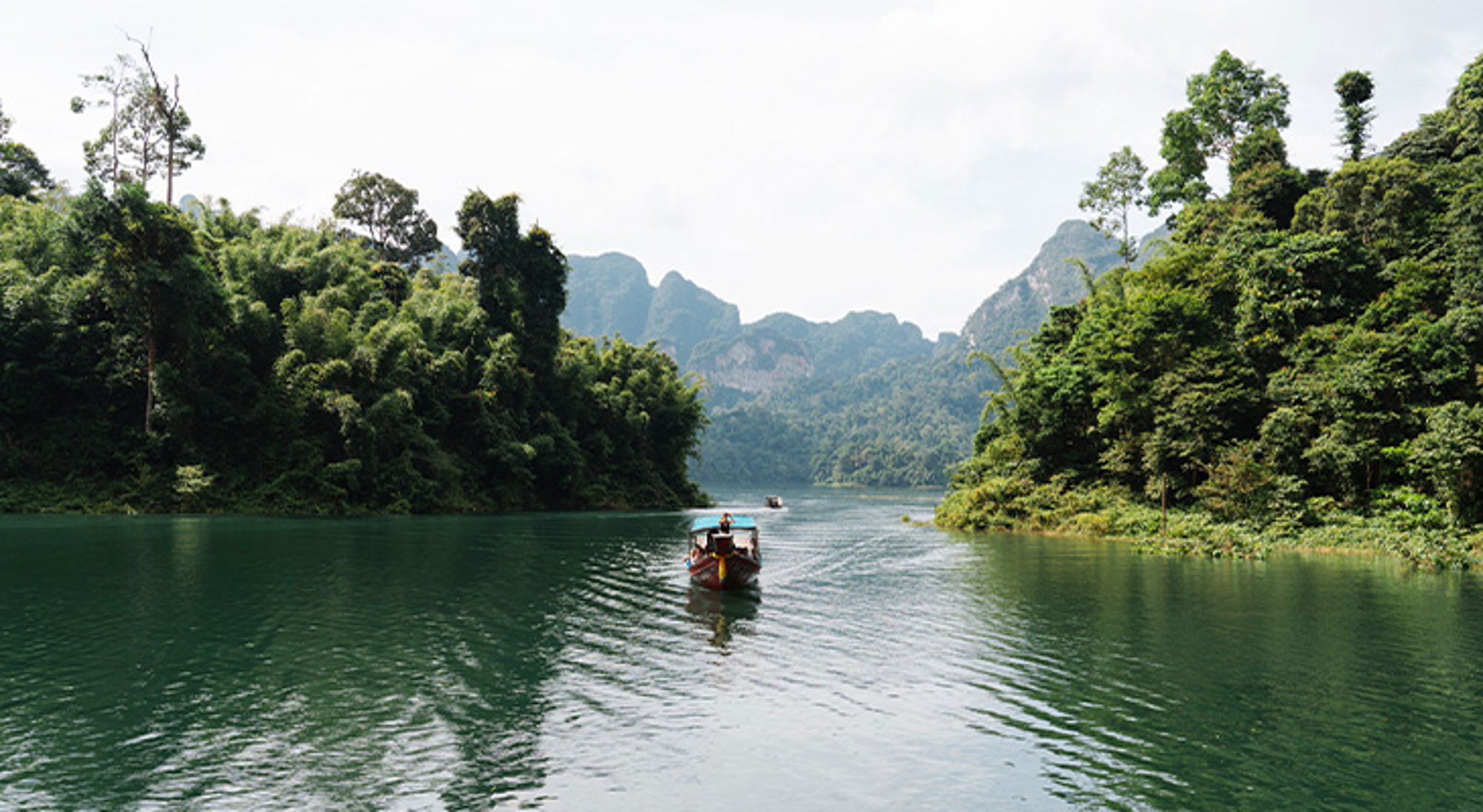 Khao Sok Nationaal Park Boot op een groene rivier tussen dicht regenwoud en bergen.