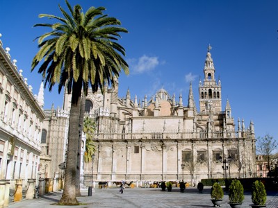 Palmbomen bij de kathedraal en Giralda-toren in Sevilla tijdens de Andalusië familiereis van 9 dagen.
