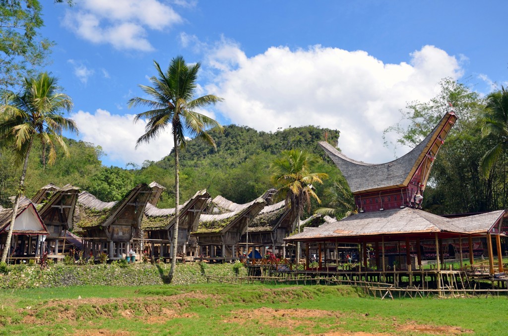 Traditionele Tongkonan-huizen in Tana Toraja, Sulawesi, met palmbomen en groene heuvels op de achtergrond.