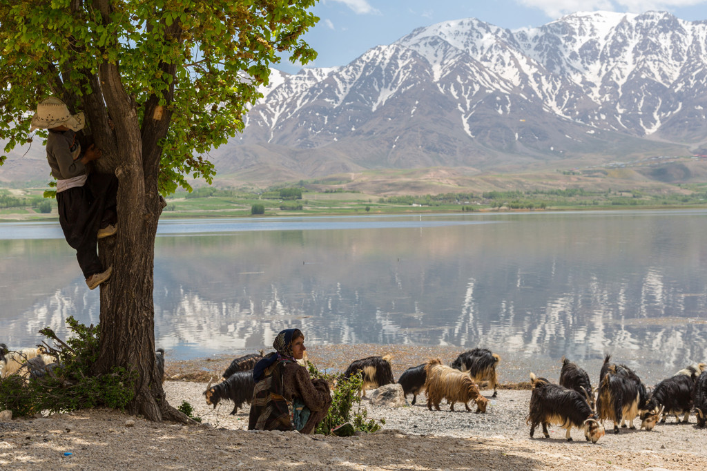 Herder met geiten aan een meer, met besneeuwde bergen op de achtergrond tijdens een groepsrondreis door Iran.