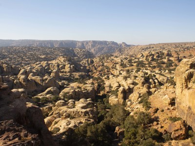 Rotsachtig woestijnlandschap met kloven en struiken in Jordanië tijdens de Route Jordanië.