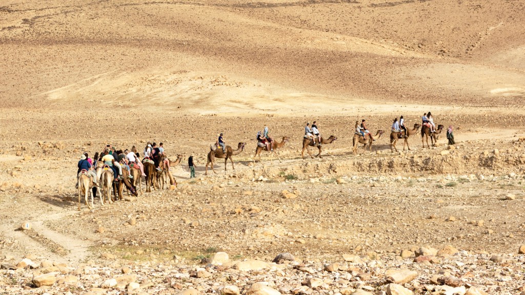 Karavaan met toeristen op kamelen in de woestijn tijdens een groepsrondreis door Israël en de Palestijnse gebieden.