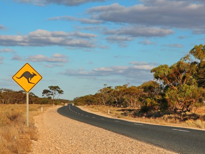 Kangoeroewaarschuwingsbord langs een verlaten weg door de Australische outback.
