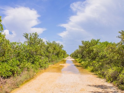 Zandweg door groen natuurgebied in Cuba, met plassen water onder een blauwe lucht met wolken.