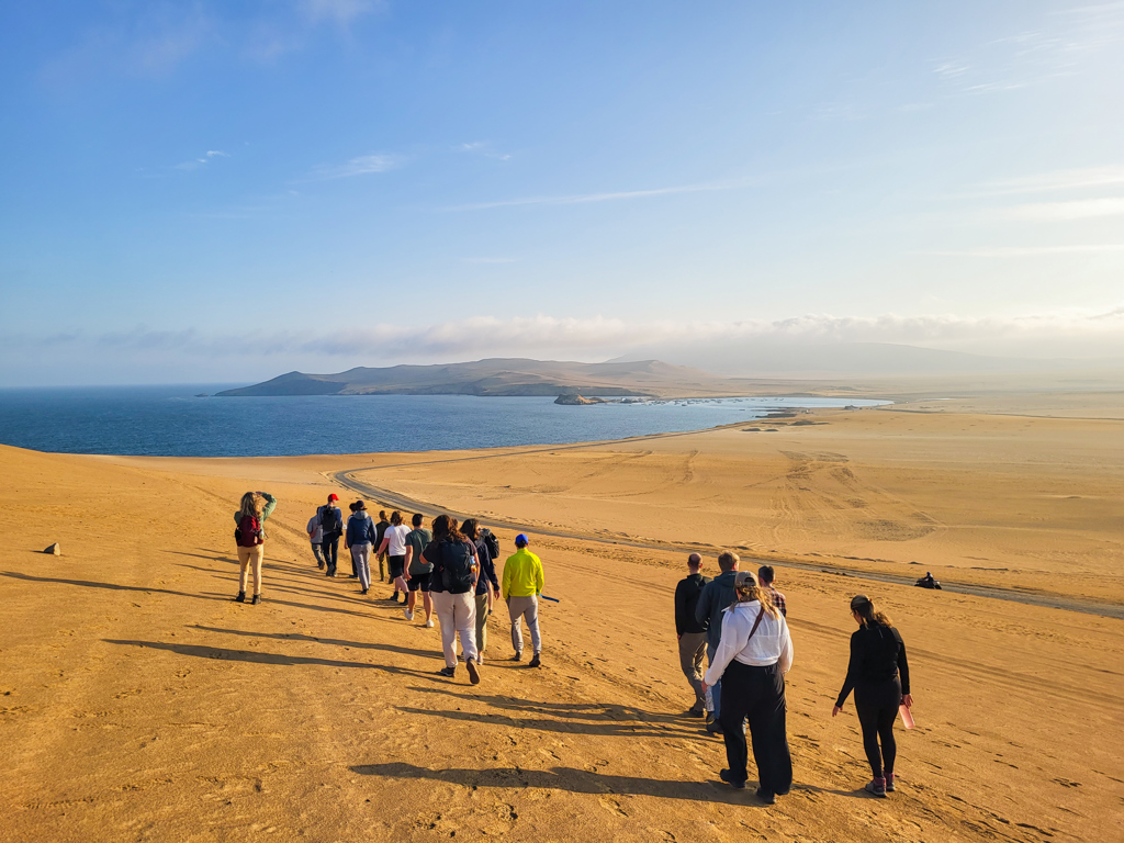 Groep 22-35ers wandelt over zandduinen met uitzicht op de oceaan tijdens rondreis Peru.