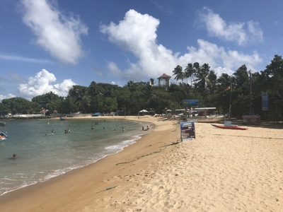 Strand aan de kust van Sri Lanka met palmbomen, boten en zwemmers in zee.